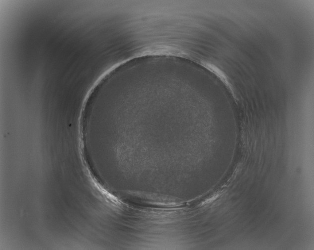 X0000074261120200609011335