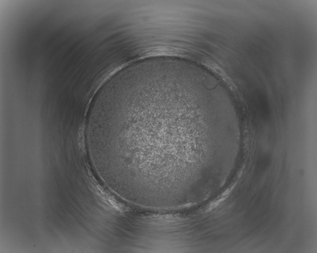 X0000074261121200609011335