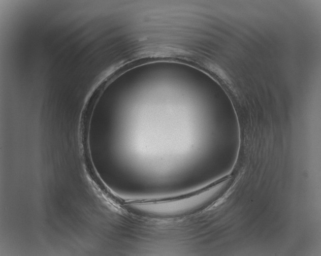 X0000074261122200609011335