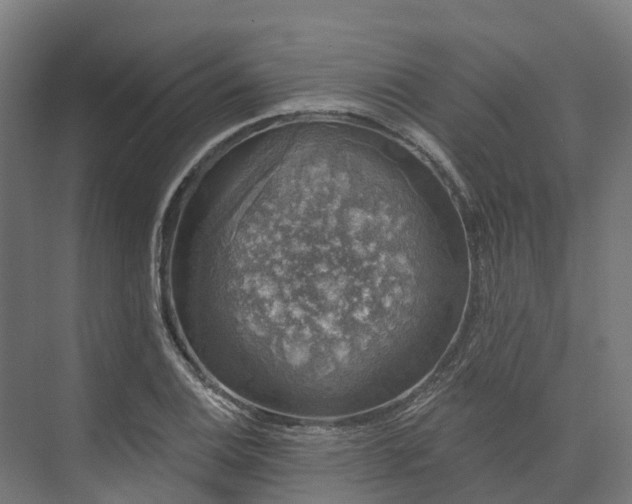 X0000074261124200609011335