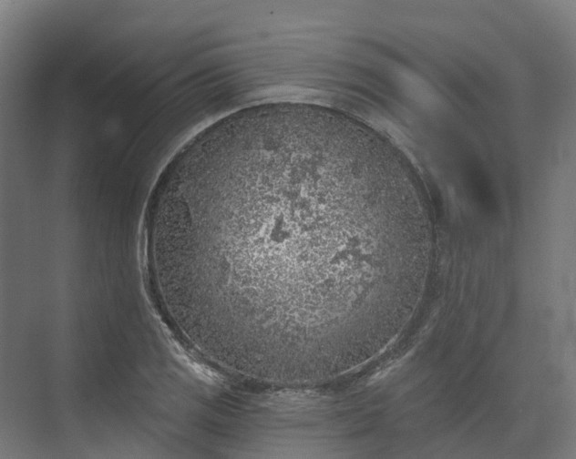 X0000074261125200609011336