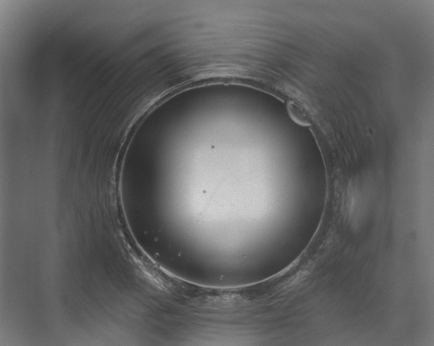 X0000074261129200609011336