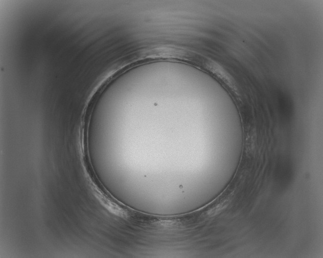 X0000074261130200609011336