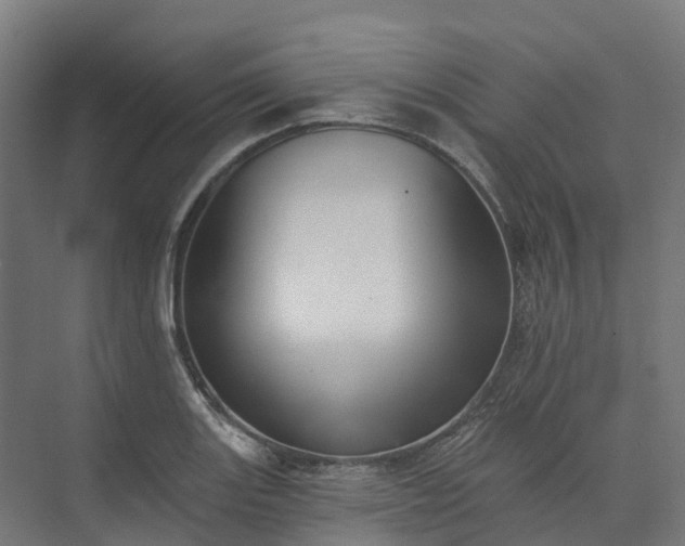 X0000074261131200609011336