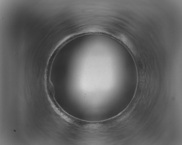 X0000074261134200609011336