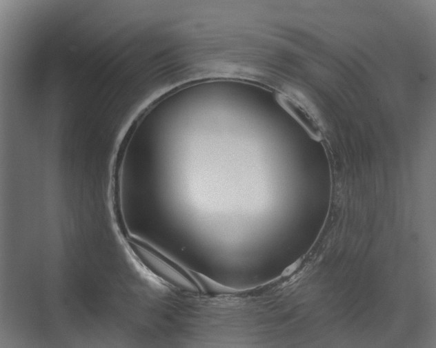 X0000074261136200609011336