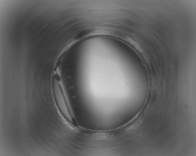 X0000074261137200609011336