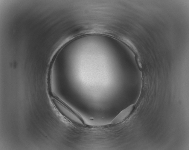 X0000074261138200609011336