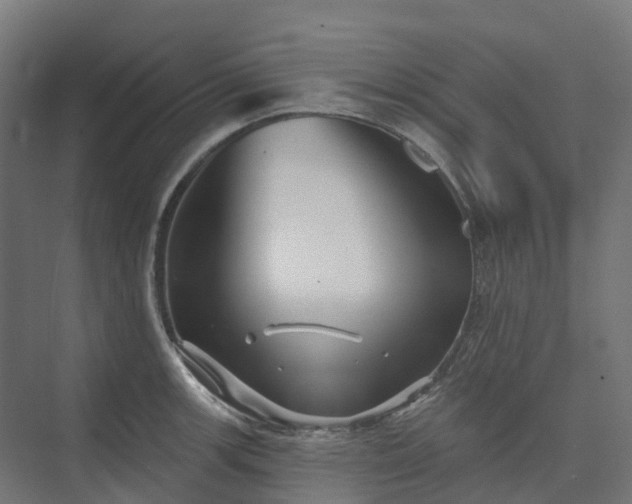 X0000074261139200609011336