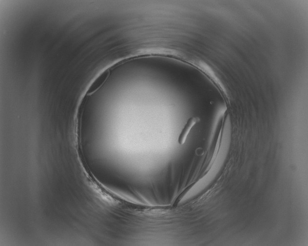 X0000074261140200609011336