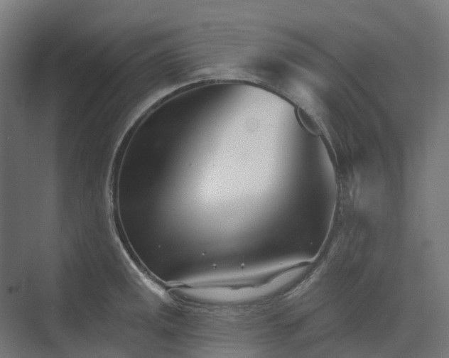 X0000074261141200609011336