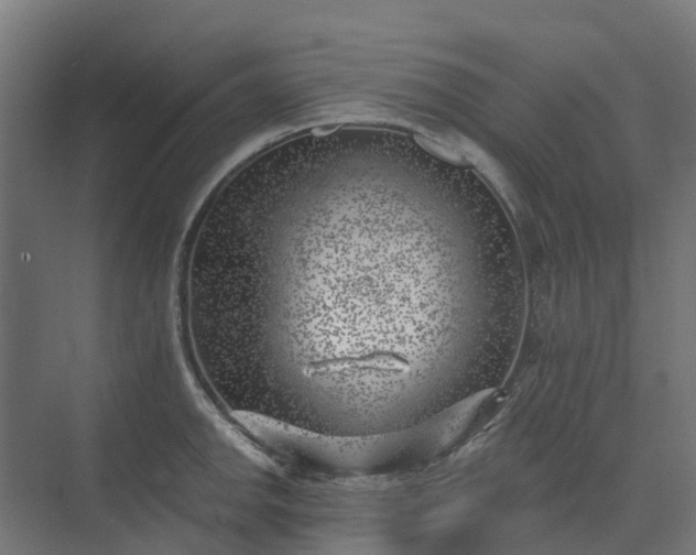 X0000074261142200609011336