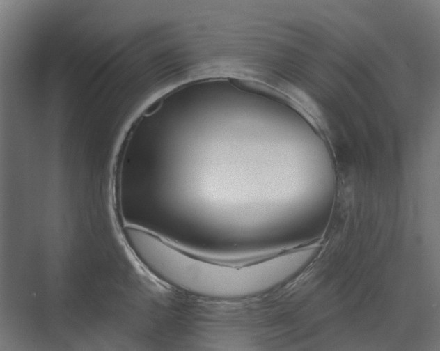 X0000074261144200609011336