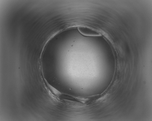 X0000074261145200609011336