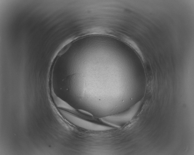 X0000074261146200609011336