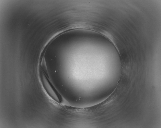 X0000074261147200609011336