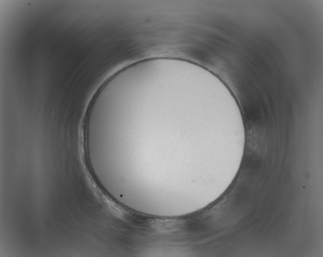 X0000074261150200609011336