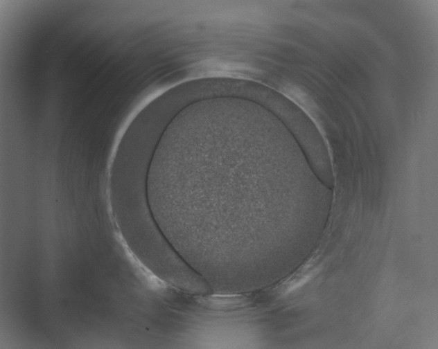 X0000074261152200609011336