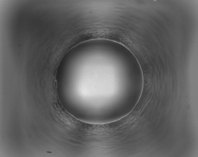 X0000074261153200609011335