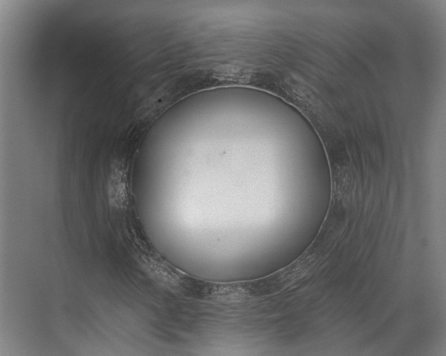 X0000074261154200609011335