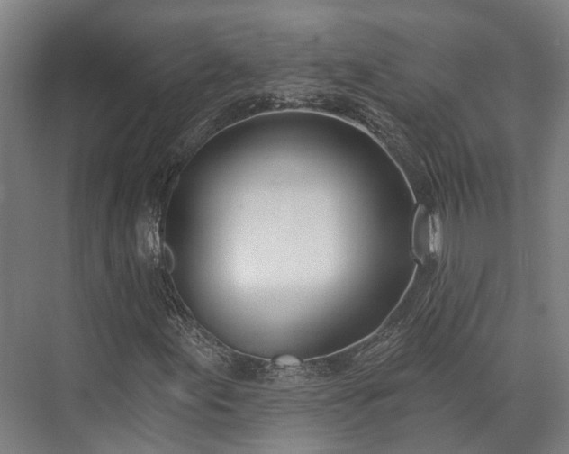 X0000074261155200609011335