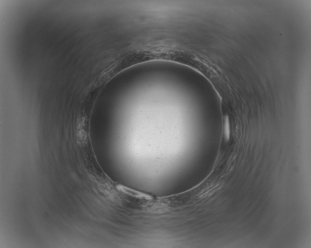 X0000074261156200609011335