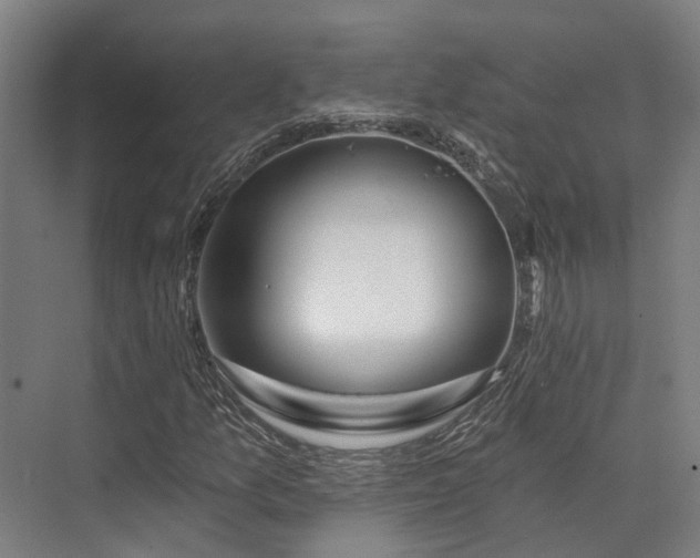 X0000074261157200609011335