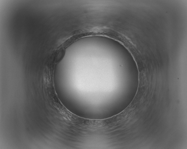 X0000074261158200609011335