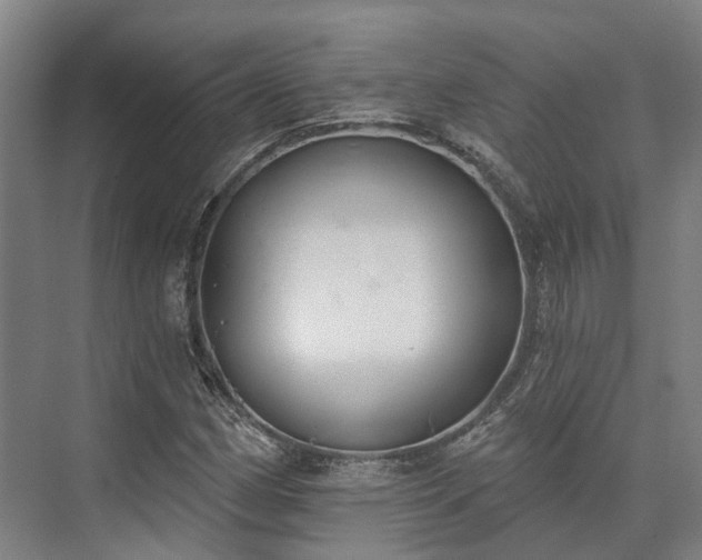 X0000074261162200609011335