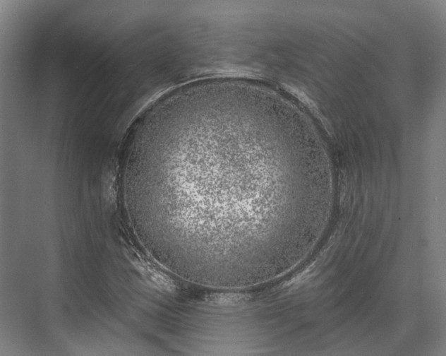 X0000074261163200609011335