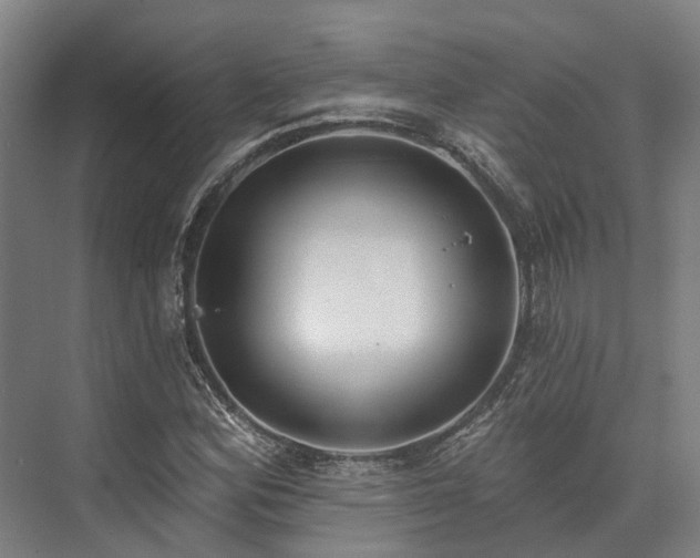 X0000074261164200609011335