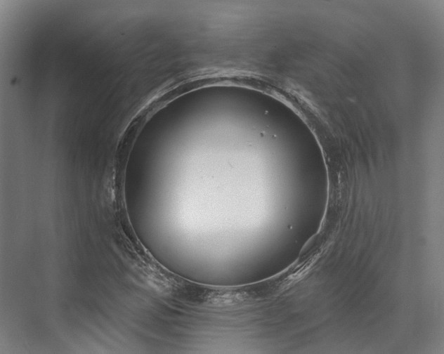 X0000074261165200609011335