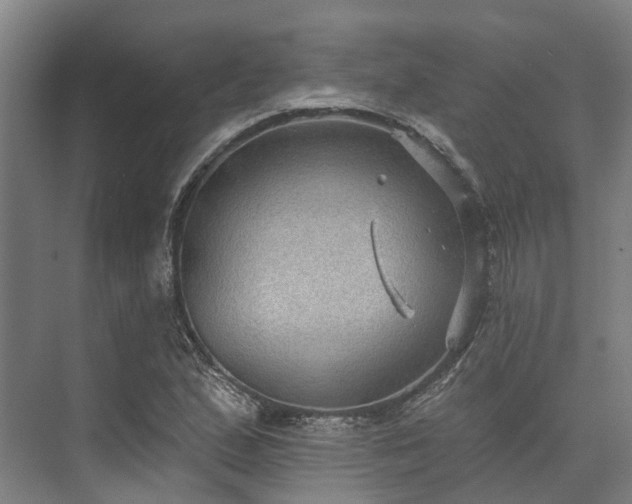 X0000074261167200609011335