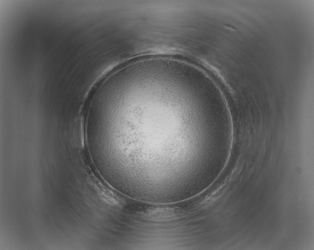 X0000074261171200609011335