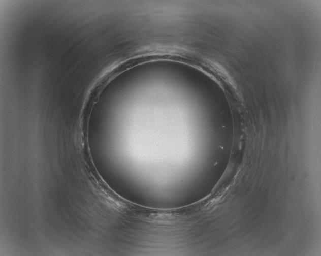 X0000074261172200609011335