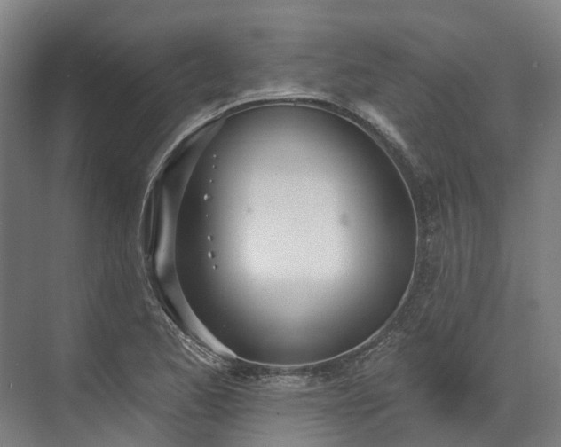 X0000074261173200609011335