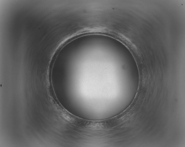 X0000074261174200609011335