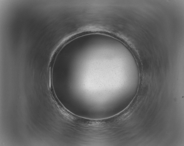 X0000074261175200609011335