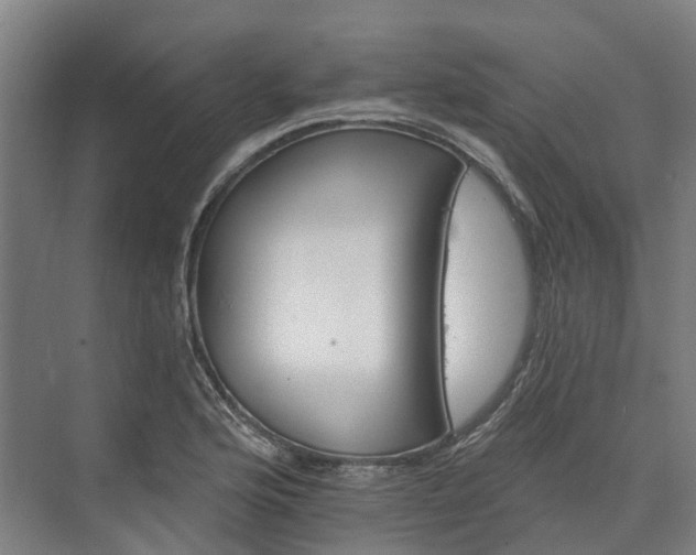 X0000074261176200609011335