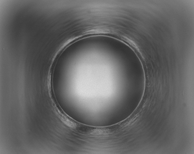 X0000074261179200609011335