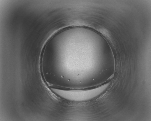 X0000074261183200609011335