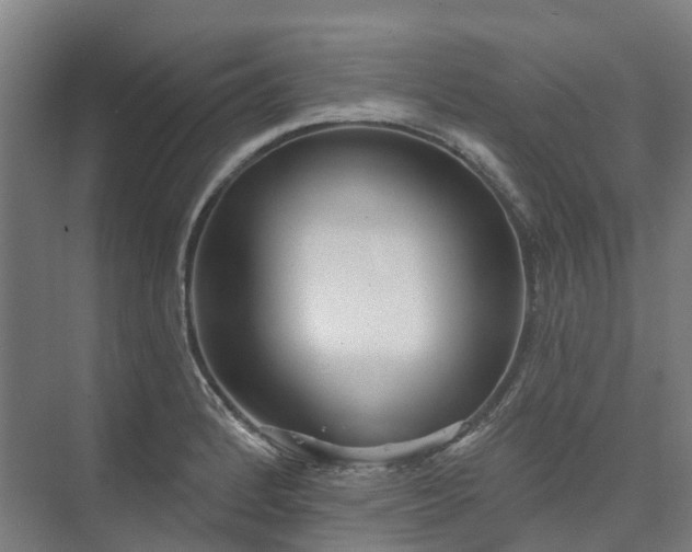 X0000074261184200609011335