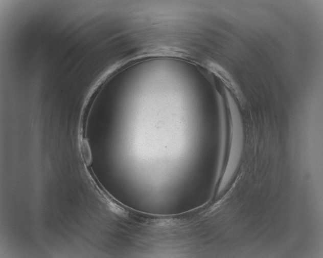 X0000074261188200609011335