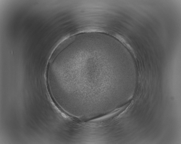 X0000074261189200609011335