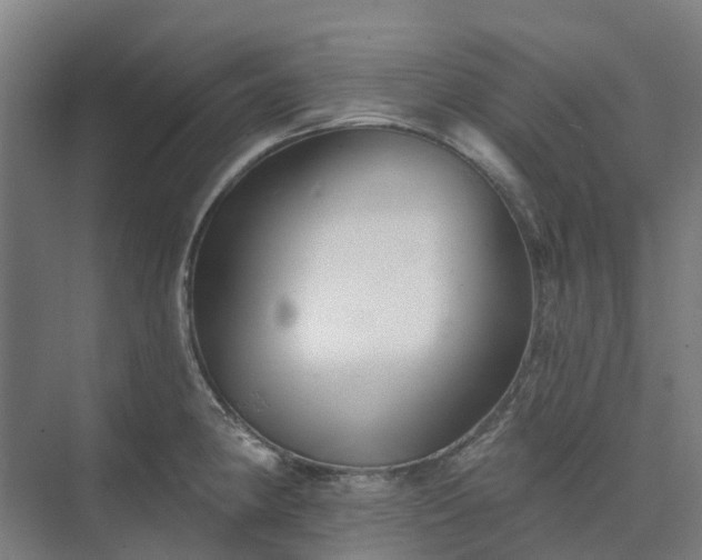 X0000074261190200609011335