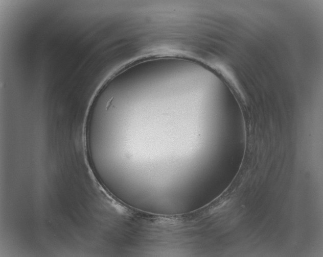 X0000074261191200609011335