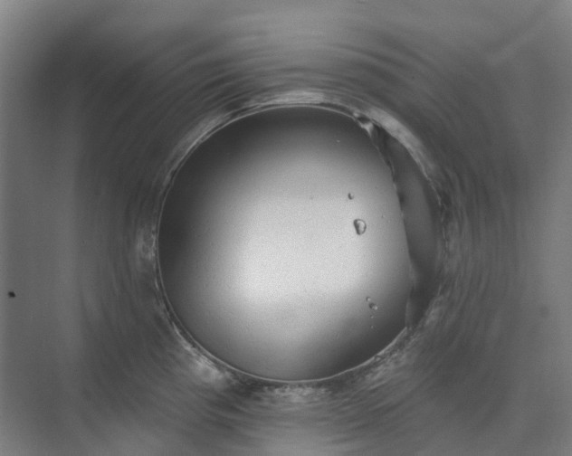 X0000074261193200609011334