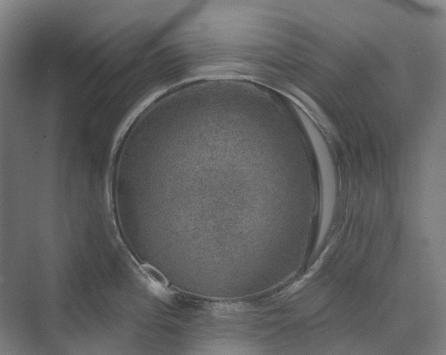 X0000074261196200609011334