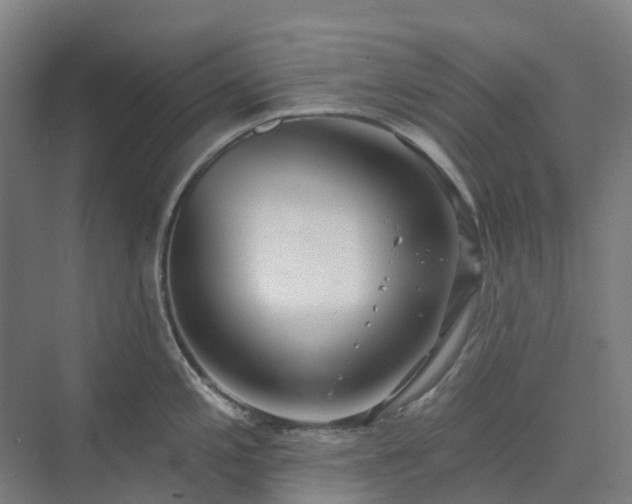 X0000074261197200609011334