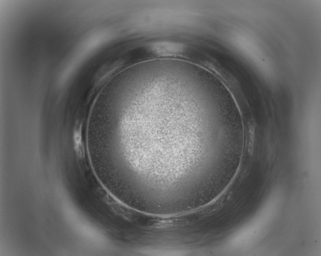 X0000074261198200609011334